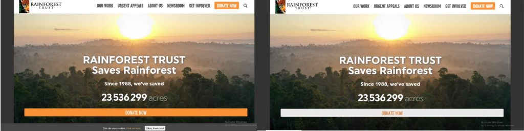 two screenshots of main rainforest trust page